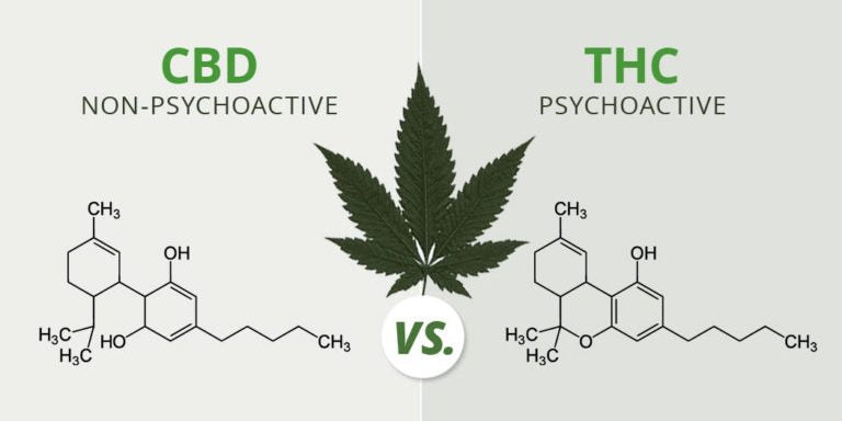 Cannabis For Anxiety and Stress!